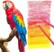 75 Pack Colored Pencils Set for Adult Coloring,72 Colors Coloring Pencils with Extras,Drawing Pencils Art Craft Supplies for Adults Beginners